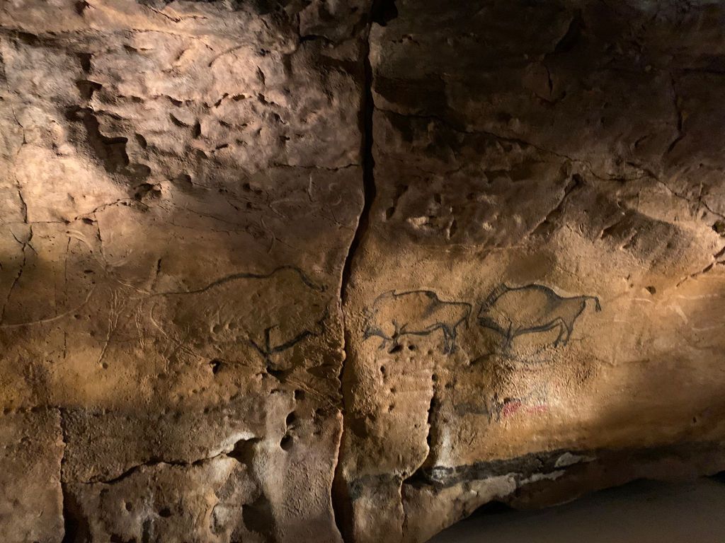 Cromañones y neandertales