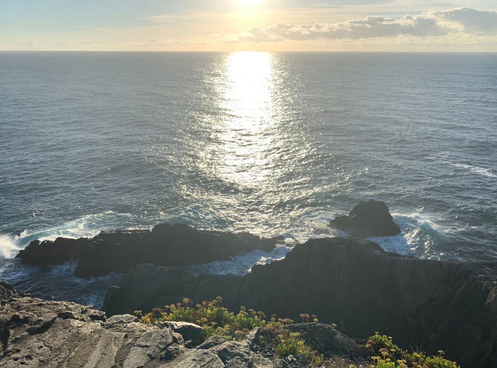 La libertad de ser&nbsp;libre