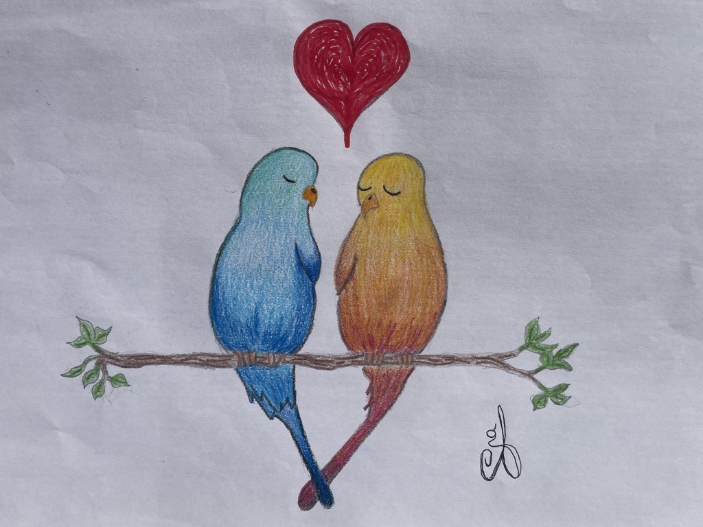 Relato del amor de unas&nbsp;aves