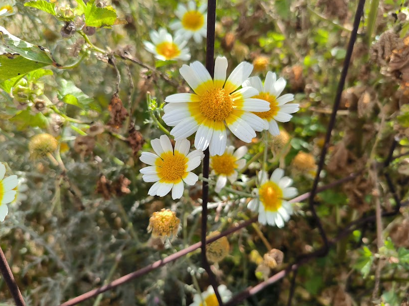 Escúchame y acéptame, por&nbsp;favor