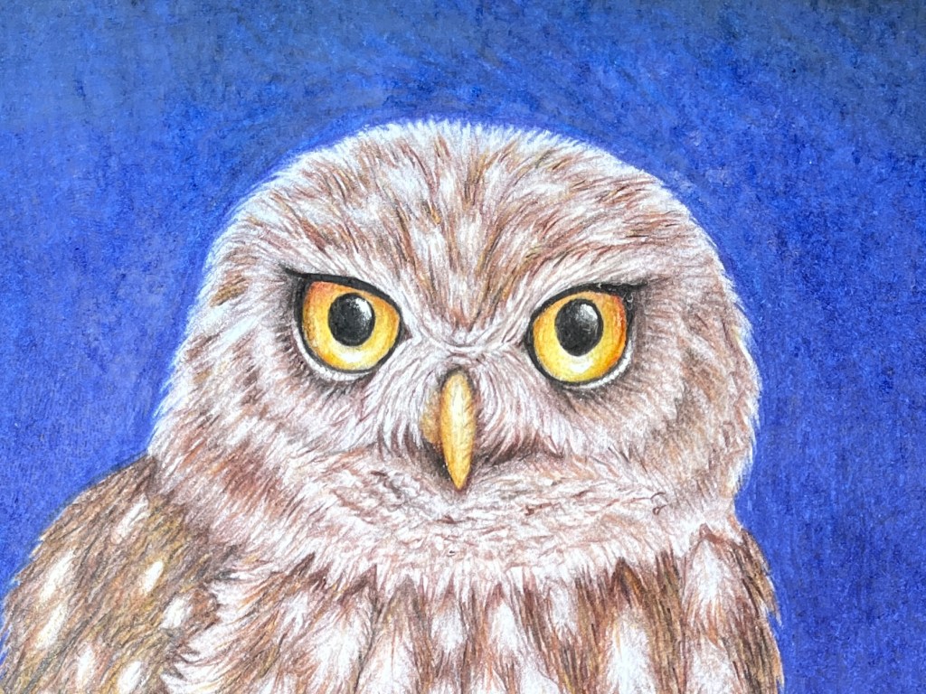 El desafío del arco&nbsp;eterno